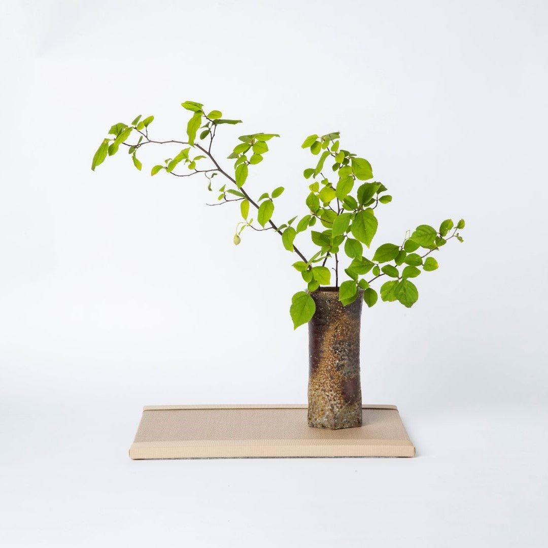 Mini Tatami Mat (B4 Size) Mocha Beige