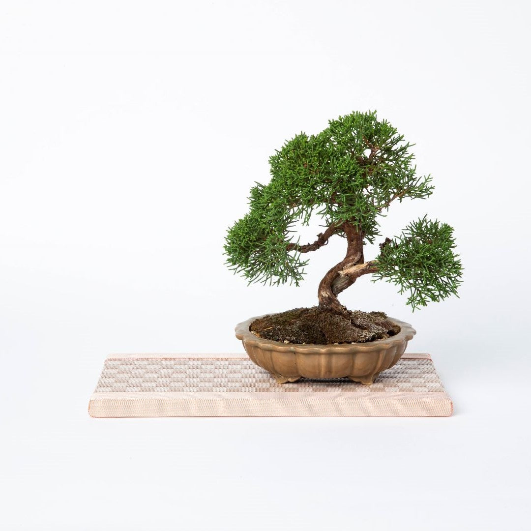 Mini Tatami Mat (Rectangular) Ichimatsu Pink