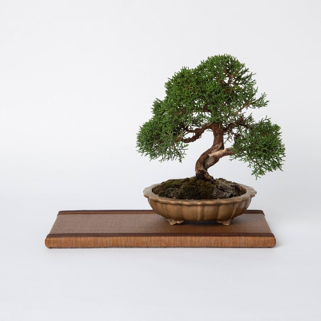 Mini Tatami Mat (Rectangular) - Dark Brown