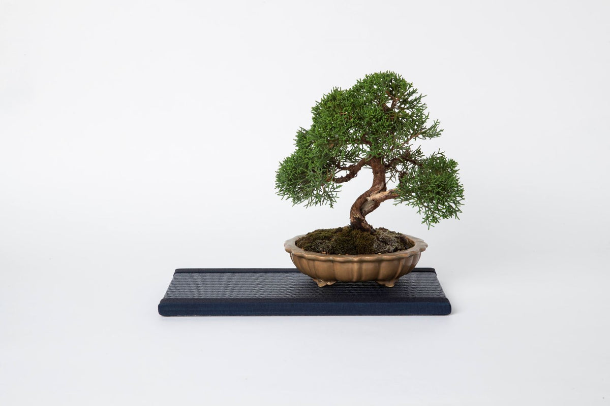 ミニ畳（長方形）　インディゴ