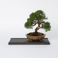 Mini Tatami Mat (Rectangular) - Charcoal